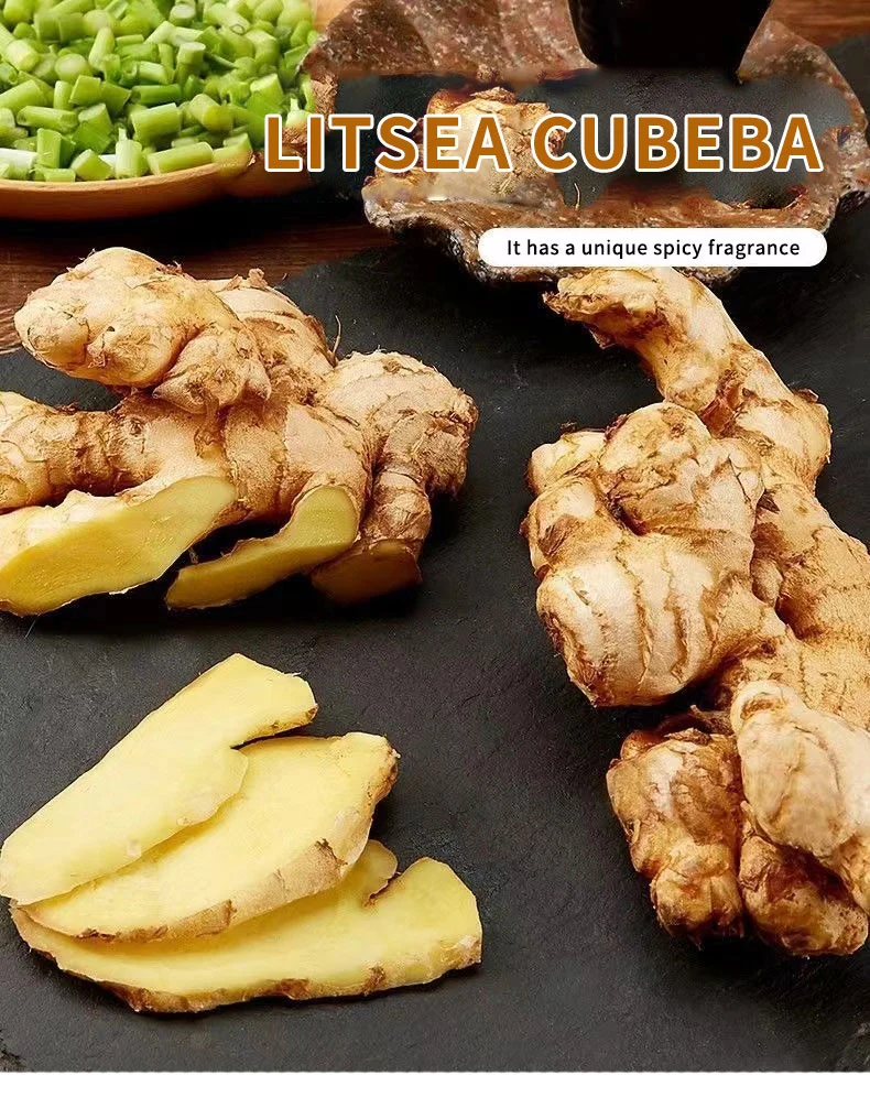 High Quality Wholesale Cheap Price New Crop Fresh Ginger Organic Ginger Fresh Ginger Fresh Vegetable Conventional Ginger