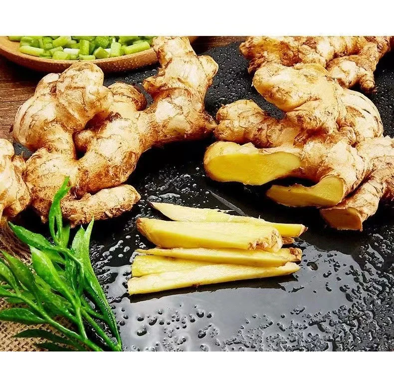 High Quality Wholesale Cheap Price New Crop Fresh Ginger Organic Ginger Fresh Ginger Fresh Vegetable Conventional Ginger