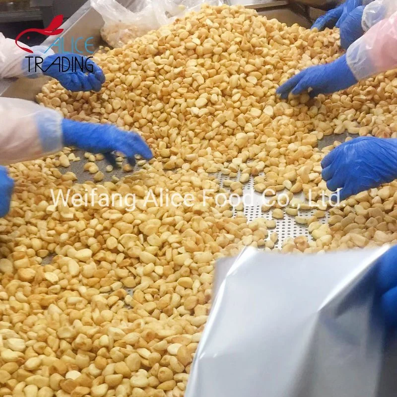 Vacuum Fried Foods Vf Garlic