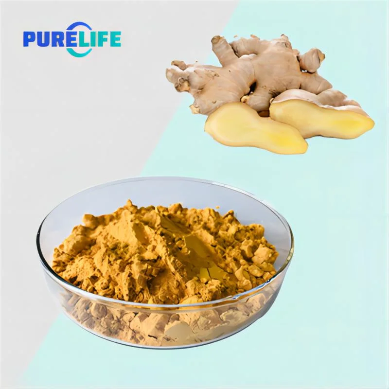 Natural Herbal Plant Extract Dehydrated Organic Vegetable Ginger Root Extract Powder