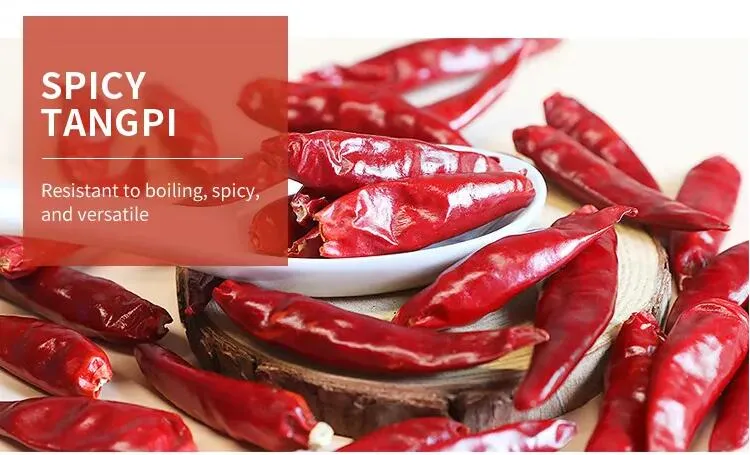 Wholesale Dried Chili Red Pepper Dried Capsicum Frutescens for Spices