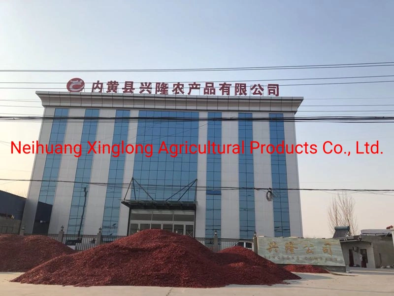 Factory Price Dried Red Sweet Paprika Chili Powder in Different Asta Specification