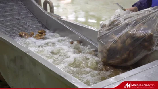 Atacado chinês fresco jovem congelado vegetal comida seca ao ar seco em conserva fatia desidratada colheita orgânica gordura gengibre amarelo preço do fornecedor de fábrica com