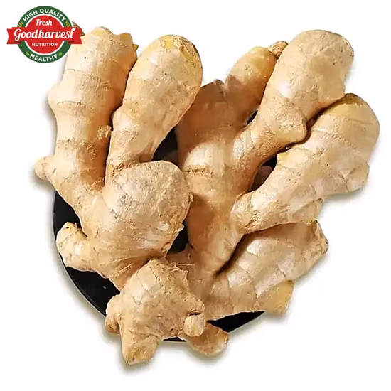 Atacado orgânico 100% natural de alta qualidade puro gengibre fresco preço barato gengibre orgânico de alta qualidade gengibre fresco convencional